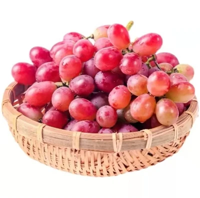 انگور قرمز زرشکی
