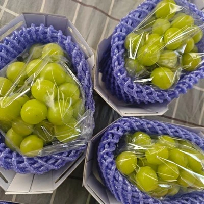 انگور آفتابی تازه