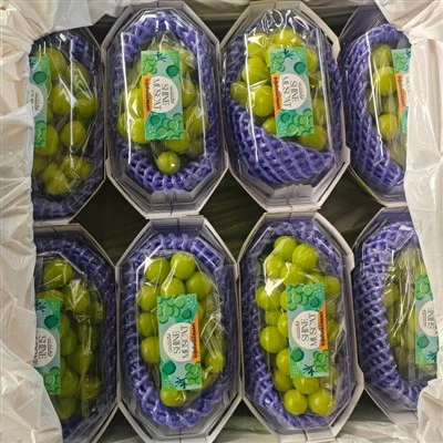انگور سبز